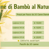 Canne bambu