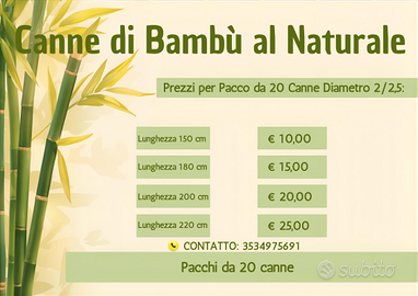 Canne bambu
