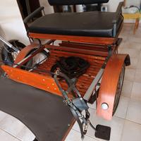 calesse per pony o mezzo cavallo
