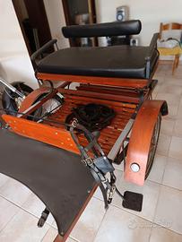 calesse per pony o mezzo cavallo