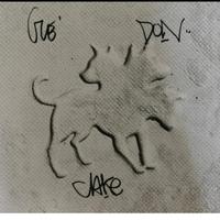 vinile club dogo 2024