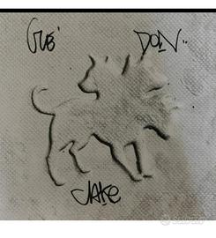 vinile club dogo 2024