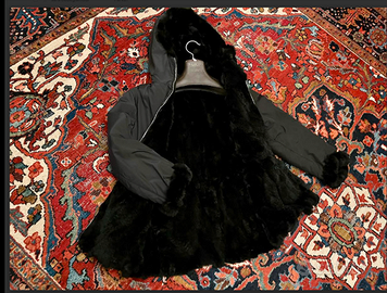 PellicceriaGAJOTTOsupercoolPARKAimbPELLICCIAcastor