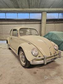 Volkswagen Maggiolino 6v