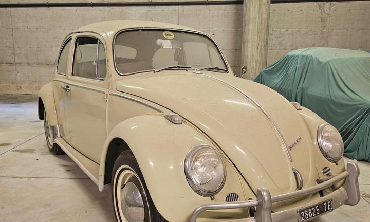 Volkswagen Maggiolino 6v