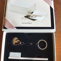 Set pulizia gioielli Pandora