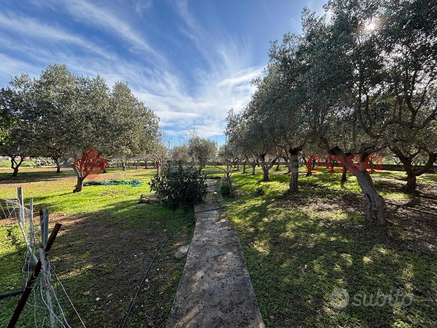 Apartment in Statte, Taranto - Vista 2