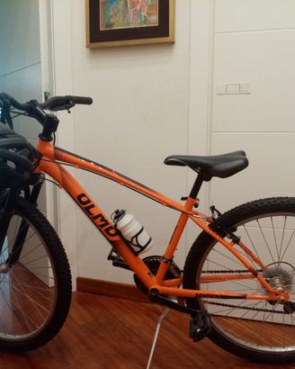 Bicicletta Olmo taglia 26