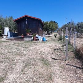 Terreno agricolo