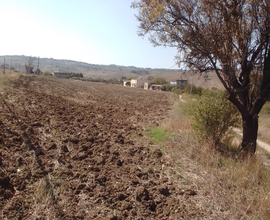 Terreno agricolo