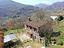 Immagine 27