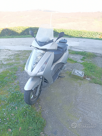 Scooter 150 - Honda phanteon