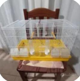 gabbia cova con fondo in plastica 