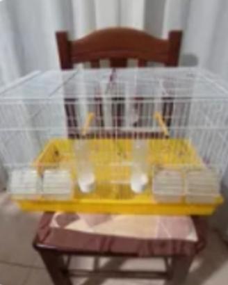 gabbia cova con fondo in plastica 