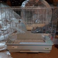 Gabbie canarini uccellini