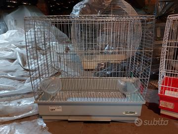 Gabbie canarini uccellini