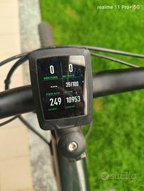 bicicletta elettrica 