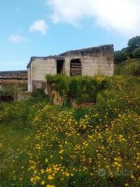 Rustico - Terrasini