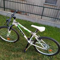 Bici MTB Zephyr 24