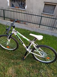 Bici MTB Zephyr 24