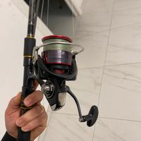 Canna da pesca abu garcia