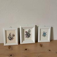 Set 3 stampe botaniche con cornice