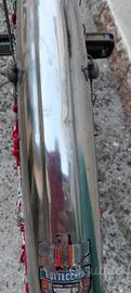Bici BOTTECCHIA ruote 26
