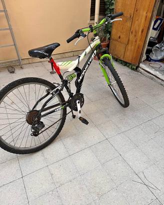 Bicicletta mountain bike con cambio