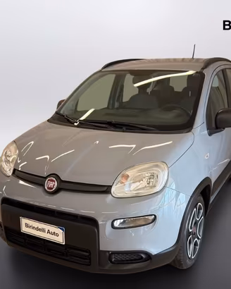 FIAT Panda 3ª serie - Panda 1.0 FireFly S&S Hybrid