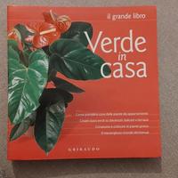 Verde in casa. Come prendersi cura delle piante