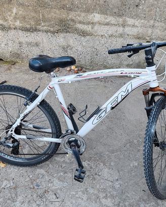 mountain bike