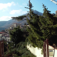 Abbattimento alberi / Giardinaggio