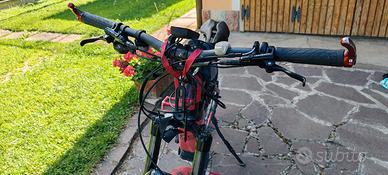 ebike