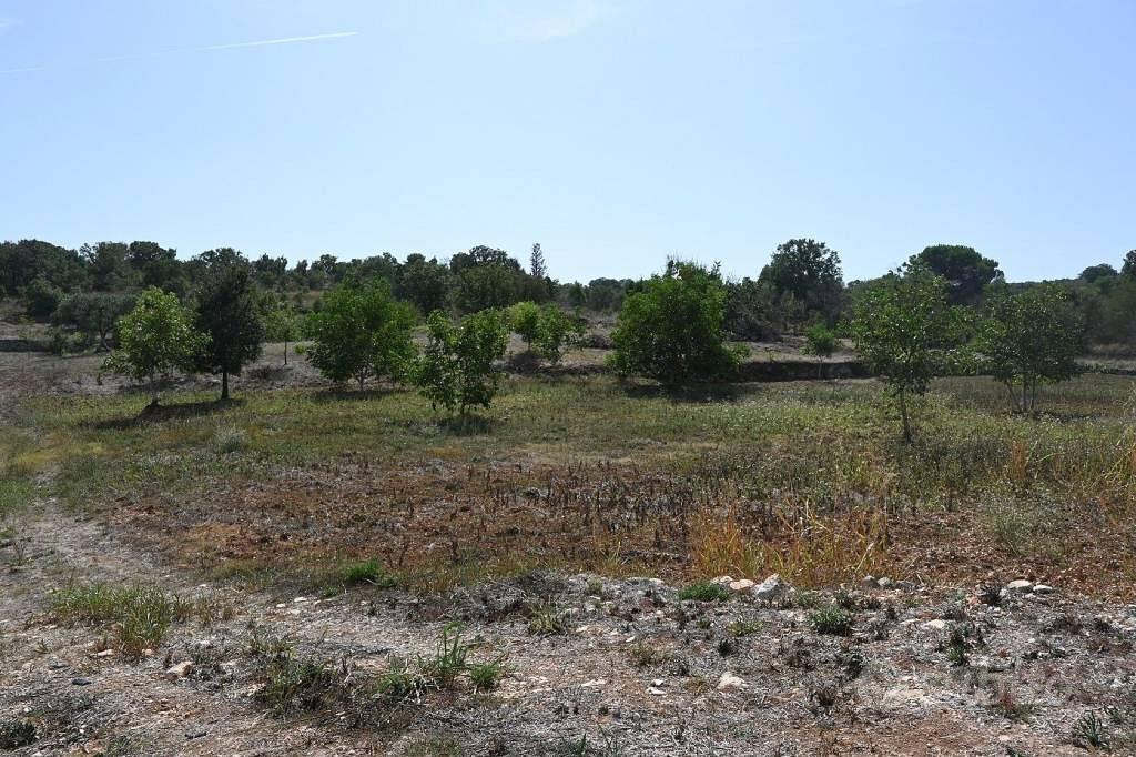 Terreno di 13800 m² a Alberobello - Vista 3