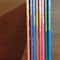 Serie Completa "I Gialli di Natale" – 8 Volumi