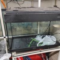 acquario led 60 LT 