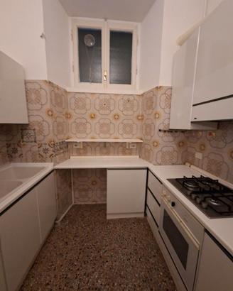Cucina, Gatto, buone condizione.
