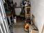 Immagine 13
