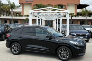 Ford Kuga 1.5 EcoBlue 120 CV 2WD ST-Line