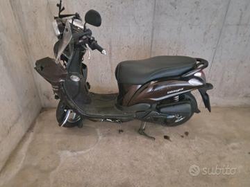 yamaha delight  incedenta 