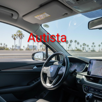 Autista Accompagnatore Commissioni