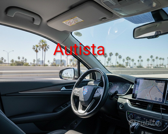 Autista Accompagnatore Commissioni