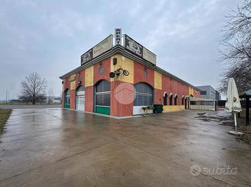 NEGOZIO A ACQUAFREDDA