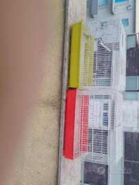 gabbie per pappagalli 