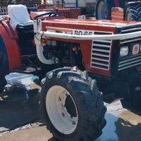 Trattore Fiat frutteto 80/66