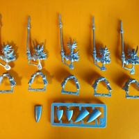 Principi drago 5 ed Elfi Alti Warhammer