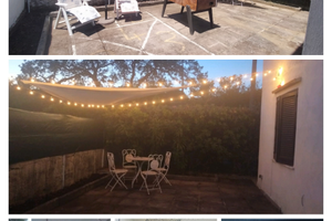 PALINURO (leggi intero annuncio)