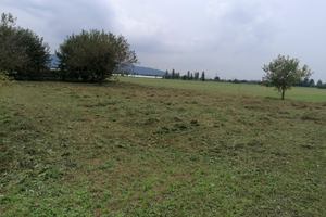 Terreno edificabile San Paolo d'Argon