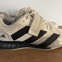 Scarpe palestra