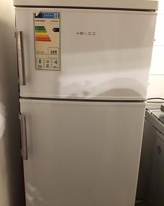 Frigo kendo